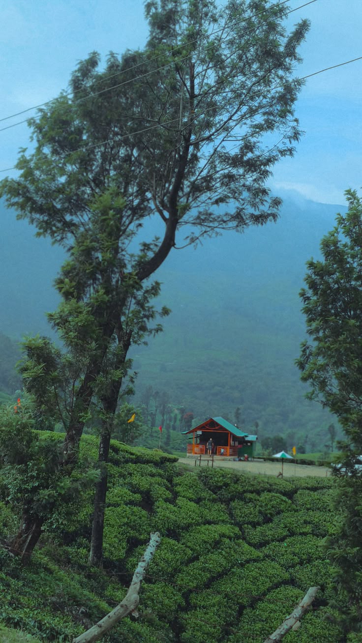 A First-Timer's Complete Guide to Munnar