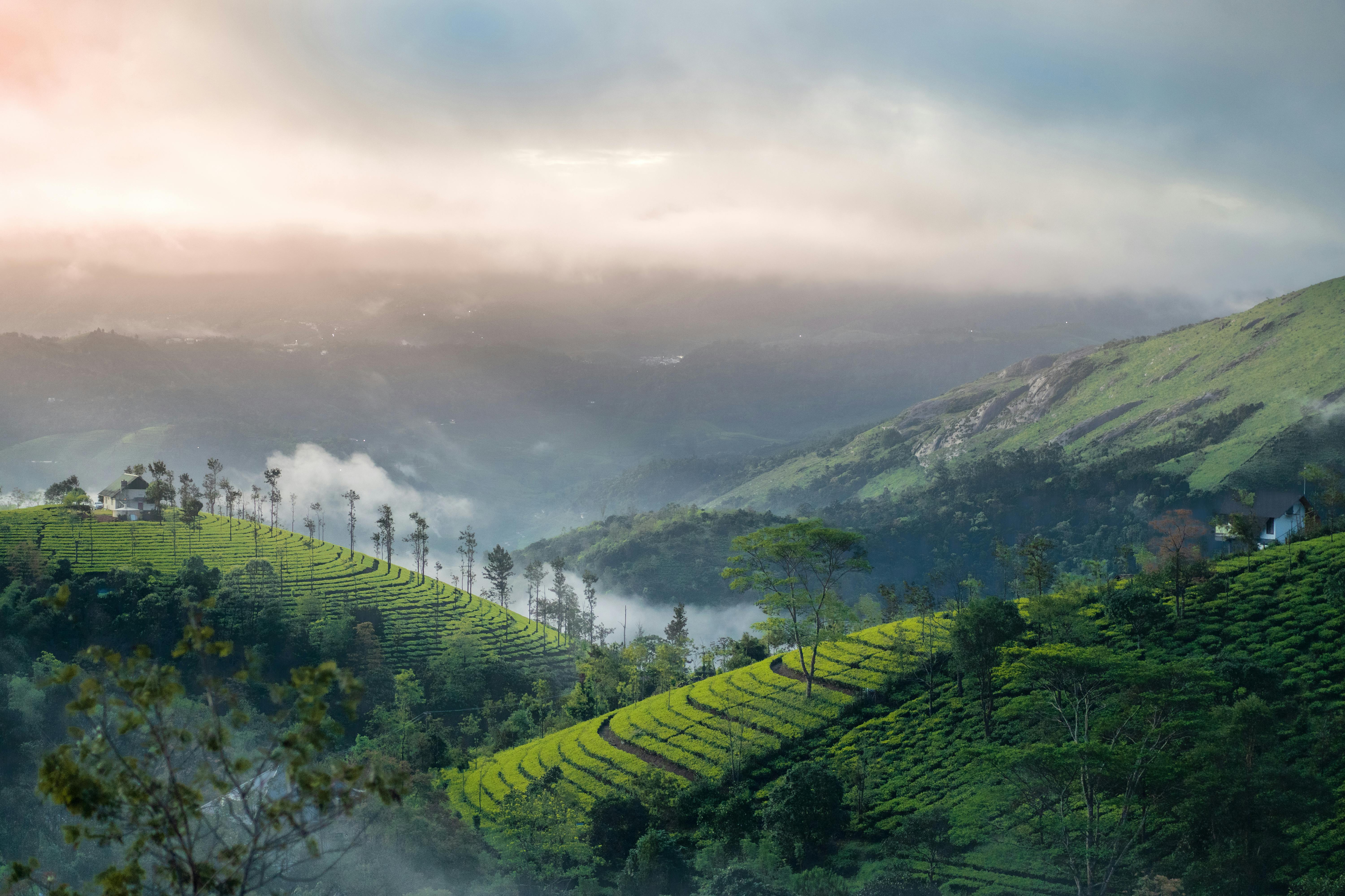 Liok Hotels Munnar View